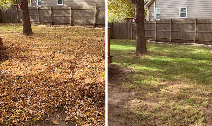 Lawn care before and after: leaf cleanup on a Dallas, Texas lawn